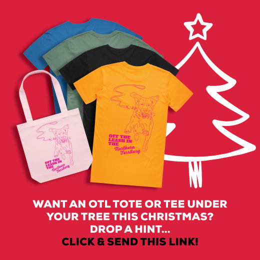 OTL Christmas Promo Advertisement: OTL Christmas Promo